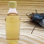 ¿El Vinagre Atrae a las Moscas? Descubre la Respuesta y Cómo Usarlo