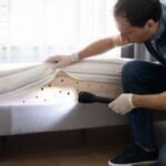 Cómo Evitar La Infestación De Chinches En Tu Dormitorio