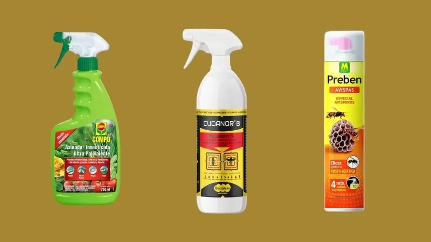 Mejor insecticida para hormigas: comparativa 2026