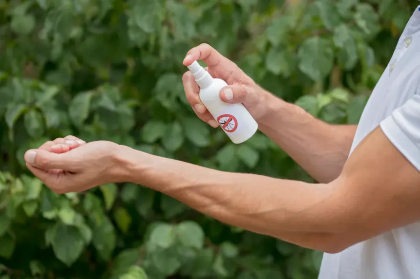 Mejor spray para chinches